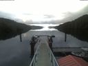 ./images/calvert/dock/20210501/dock20210501_062504.jpg