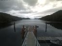 ./images/calvert/dock/20210501/dock20210501_142003.jpg