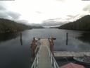 ./images/calvert/dock/20210501/dock20210501_152003.jpg