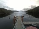 ./images/calvert/dock/20210501/dock20210501_154004.jpg
