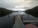 ./images/calvert/dock/20210501/dock20210501_170503.jpg
