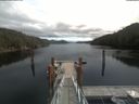 ./images/calvert/dock/20210502/dock20210502_131503.jpg