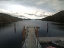 ./images/calvert/dock/20210502/dock20210502_155003.jpg
