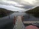 ./images/calvert/dock/20210502/dock20210502_194502.jpg