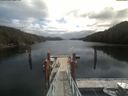 ./images/calvert/dock/20210503/dock20210503_122504.jpg