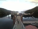 ./images/calvert/dock/20210503/dock20210503_202002.jpg