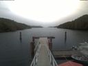 ./images/calvert/dock/20210506/dock20210506_130502.jpg