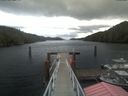 ./images/calvert/dock/20210508/dock20210508_112504.jpg