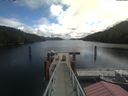 ./images/calvert/dock/20210509/dock20210509_120502.jpg