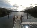 ./images/calvert/dock/20210510/dock20210510_101504.jpg