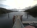 ./images/calvert/dock/20210510/dock20210510_112002.jpg