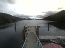 ./images/calvert/dock/20210510/dock20210510_113004.jpg