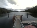./images/calvert/dock/20210510/dock20210510_113501.jpg