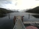 ./images/calvert/dock/20210510/dock20210510_114501.jpg