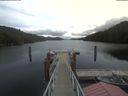 ./images/calvert/dock/20210510/dock20210510_122002.jpg