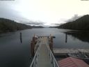 ./images/calvert/dock/20210510/dock20210510_123001.jpg