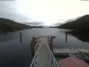 ./images/calvert/dock/20210510/dock20210510_123501.jpg