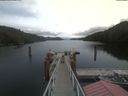 ./images/calvert/dock/20210510/dock20210510_125504.jpg