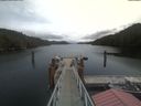 ./images/calvert/dock/20210510/dock20210510_130004.jpg