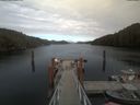 ./images/calvert/dock/20210510/dock20210510_164504.jpg