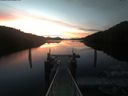 ./images/calvert/dock/20210511/dock20210511_053002.jpg