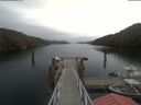 ./images/calvert/dock/20210511/dock20210511_121504.jpg