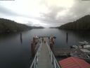 ./images/calvert/dock/20210511/dock20210511_134502.jpg