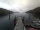 ./images/calvert/dock/20210511/dock20210511_164503.jpg