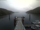 ./images/calvert/dock/20210511/dock20210511_202504.jpg