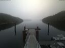 ./images/calvert/dock/20210512/dock20210512_082502.jpg