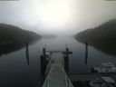 ./images/calvert/dock/20210512/dock20210512_084502.jpg
