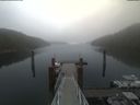 ./images/calvert/dock/20210512/dock20210512_091504.jpg