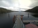 ./images/calvert/dock/20210512/dock20210512_150504.jpg
