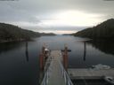 ./images/calvert/dock/20210521/dock20210521_164503.jpg