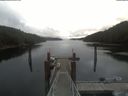 ./images/calvert/dock/20210528/dock20210528_104003.jpg