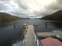 ./images/calvert/dock/20210528/dock20210528_152003.jpg