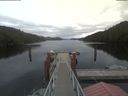 ./images/calvert/dock/20210530/dock20210530_185004.jpg