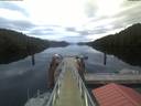 ./images/calvert/dock/20210531/dock20210531_052004.jpg