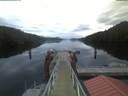 ./images/calvert/dock/20210531/dock20210531_052502.jpg