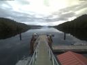 ./images/calvert/dock/20210531/dock20210531_053504.jpg