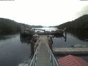 ./images/calvert/dock/20210601/dock20210601_070004.jpg