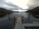 ./images/calvert/dock/20210601/dock20210601_143001.jpg