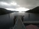 ./images/calvert/dock/20210602/dock20210602_075502.jpg