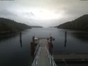 ./images/calvert/dock/20210602/dock20210602_145002.jpg