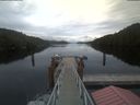 ./images/calvert/dock/20210603/dock20210603_211502.jpg