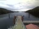 ./images/calvert/dock/20210603/dock20210603_215504.jpg
