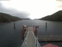 ./images/calvert/dock/20210604/dock20210604_070004.jpg