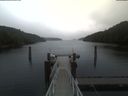./images/calvert/dock/20210604/dock20210604_145001.jpg