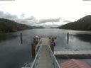 ./images/calvert/dock/20210605/dock20210605_111501.jpg