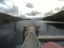 ./images/calvert/dock/20210605/dock20210605_112502.jpg